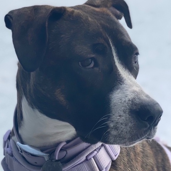 MAKE ME AN OFFER. We’re ALL WINNERS. !!👍😉👚👕👗🩱👙👠🥿🩴🥻👘🥾🧤👒🩳🥻🐶🐾💕 - Picture 6 of 16